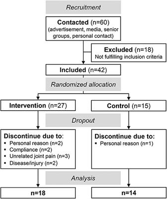 Exercise of Dynamic Stability in the Presence of Perturbations Elicit Fast Improvements of Simulated Fall Recovery and Strength in Older Adults: A Randomized Controlled Trial